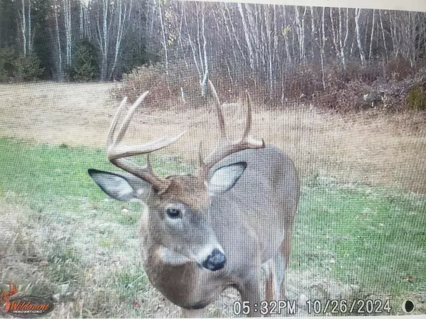 Carroll Plt, ME 04487,M11L11 Sheepskin RD