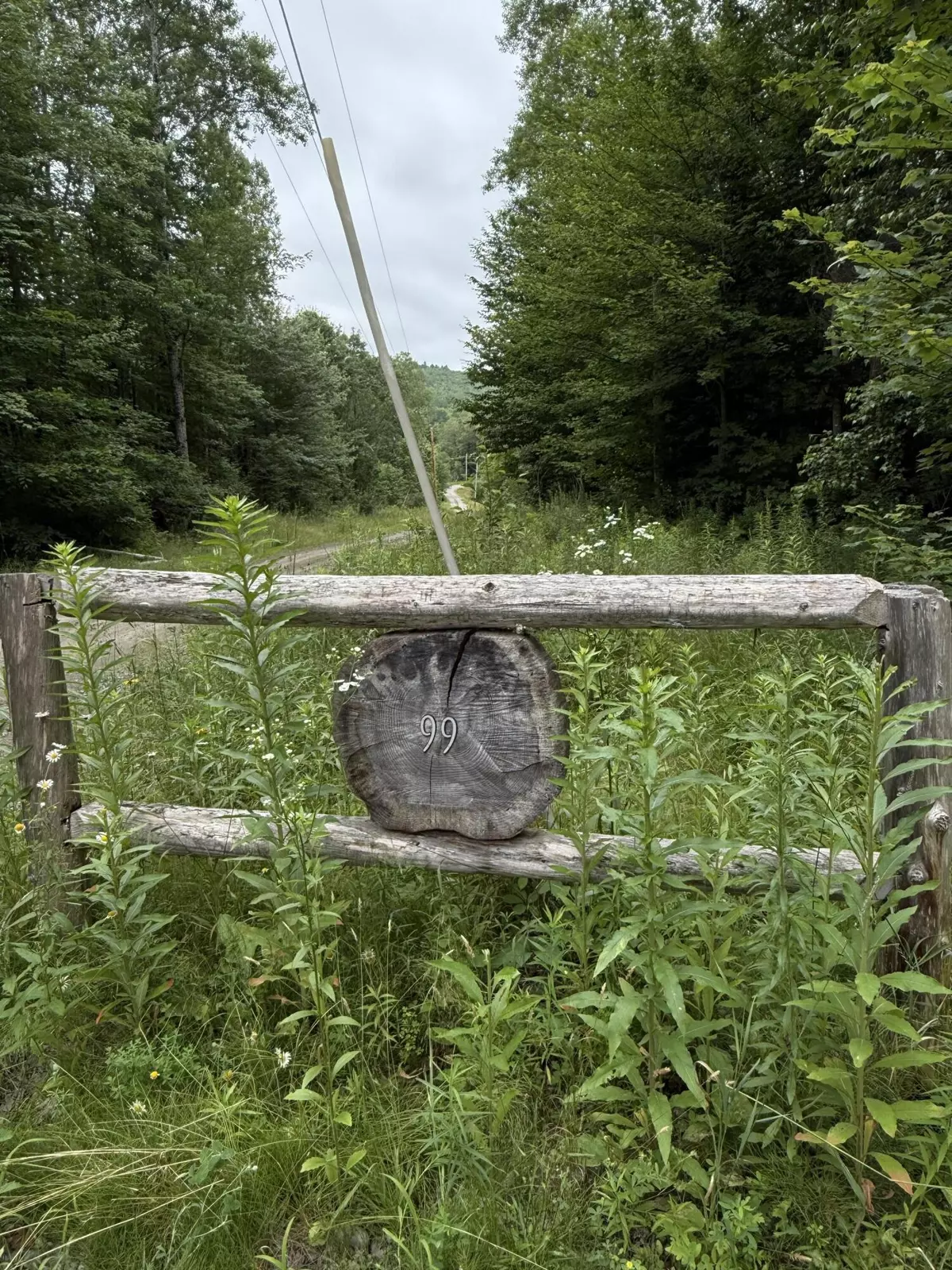 Anson, ME 04911,99 Lloyd RD