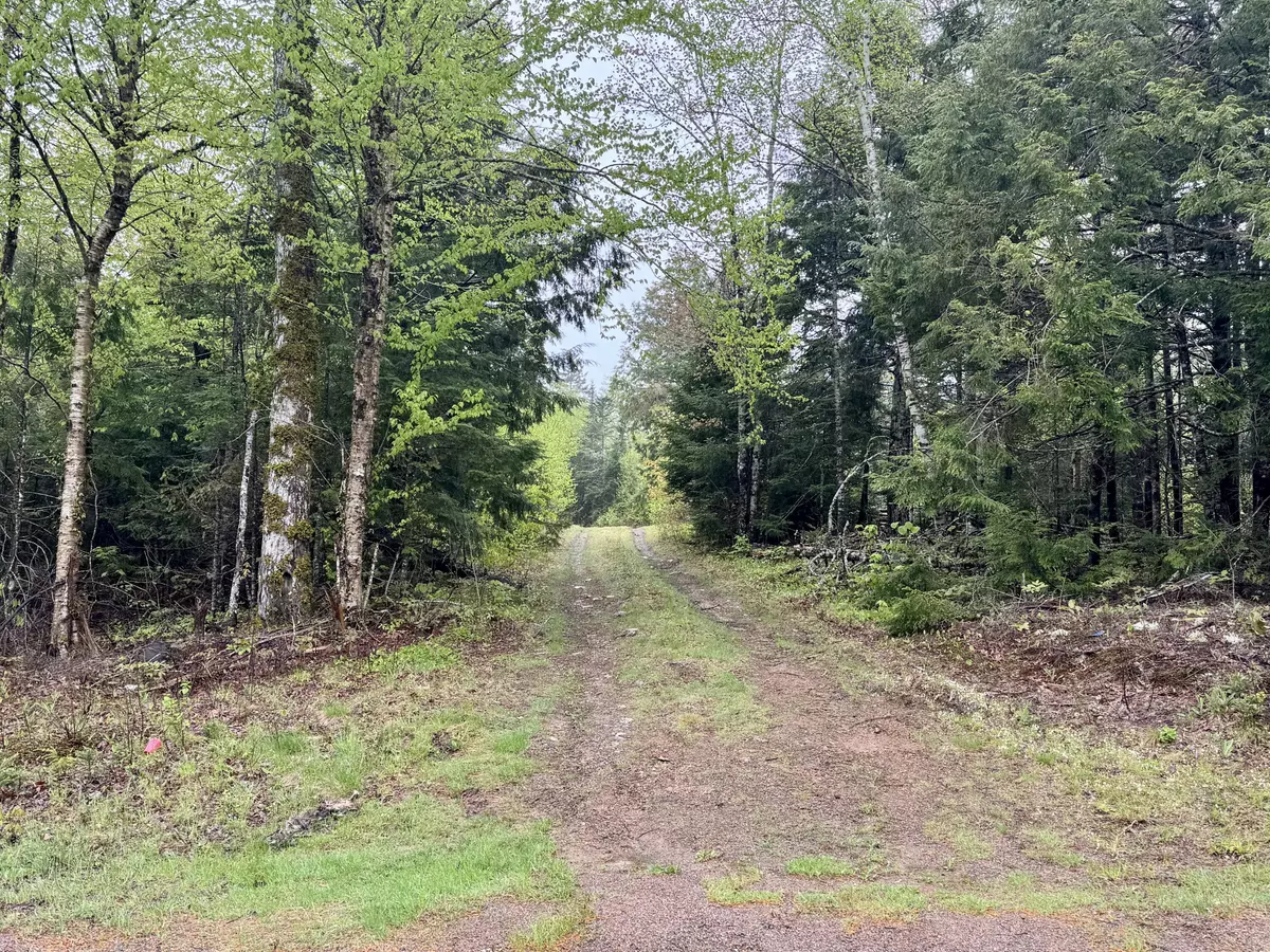 Perry, ME 04667,M15 L12 Golding RD