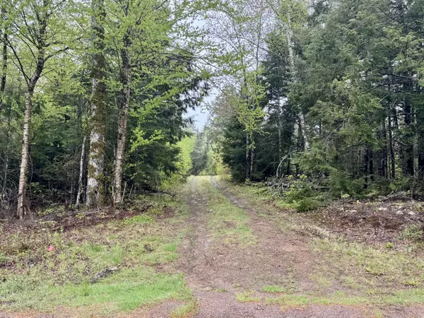 M15 L12 Golding RD, Perry, ME 04667