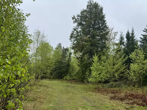 Perry, ME 04667,M15 L12 Golding RD