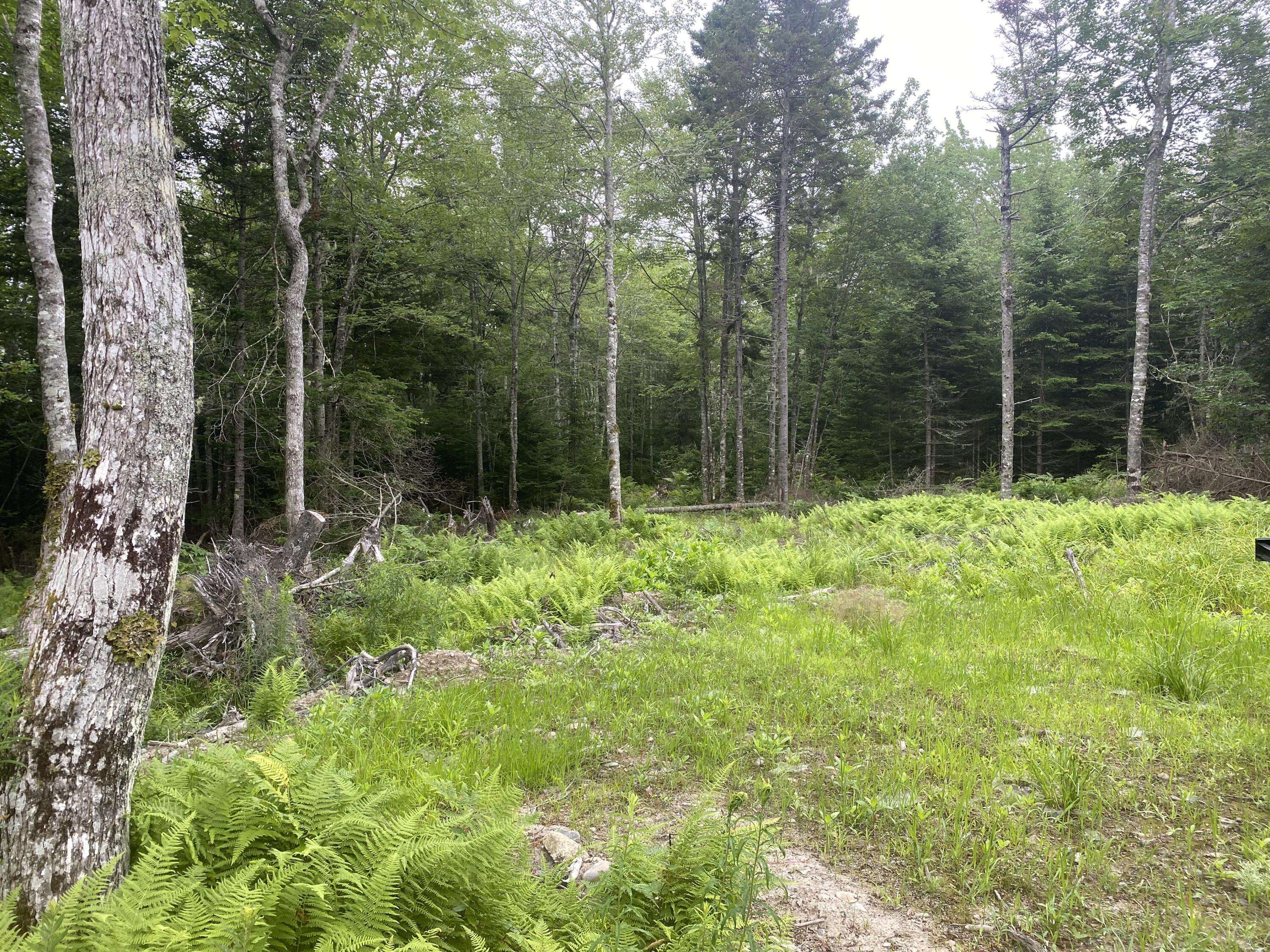 53 Woodland DR, Trenton, ME 04605