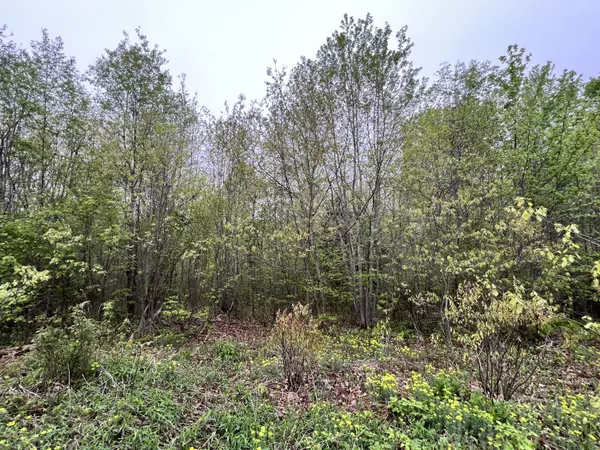 Greenbush, ME 04418,1660 Main RD