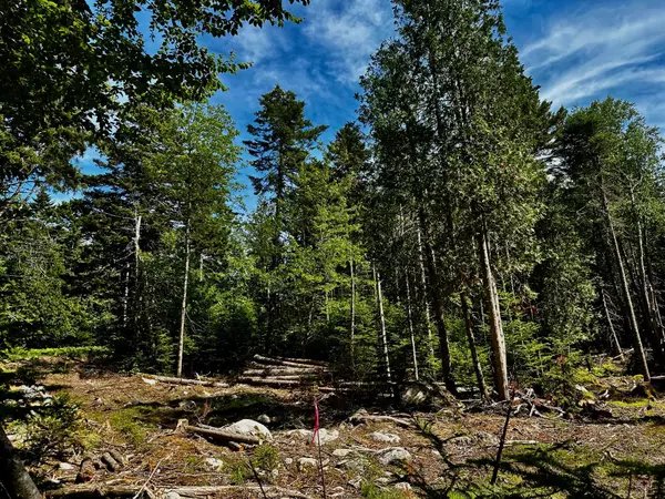 Brooklin, ME 04616,0 Flye PT #Lot 1