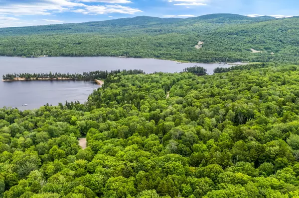 Rangeley Plt, ME 04970,Lot 1 Shelton TRL