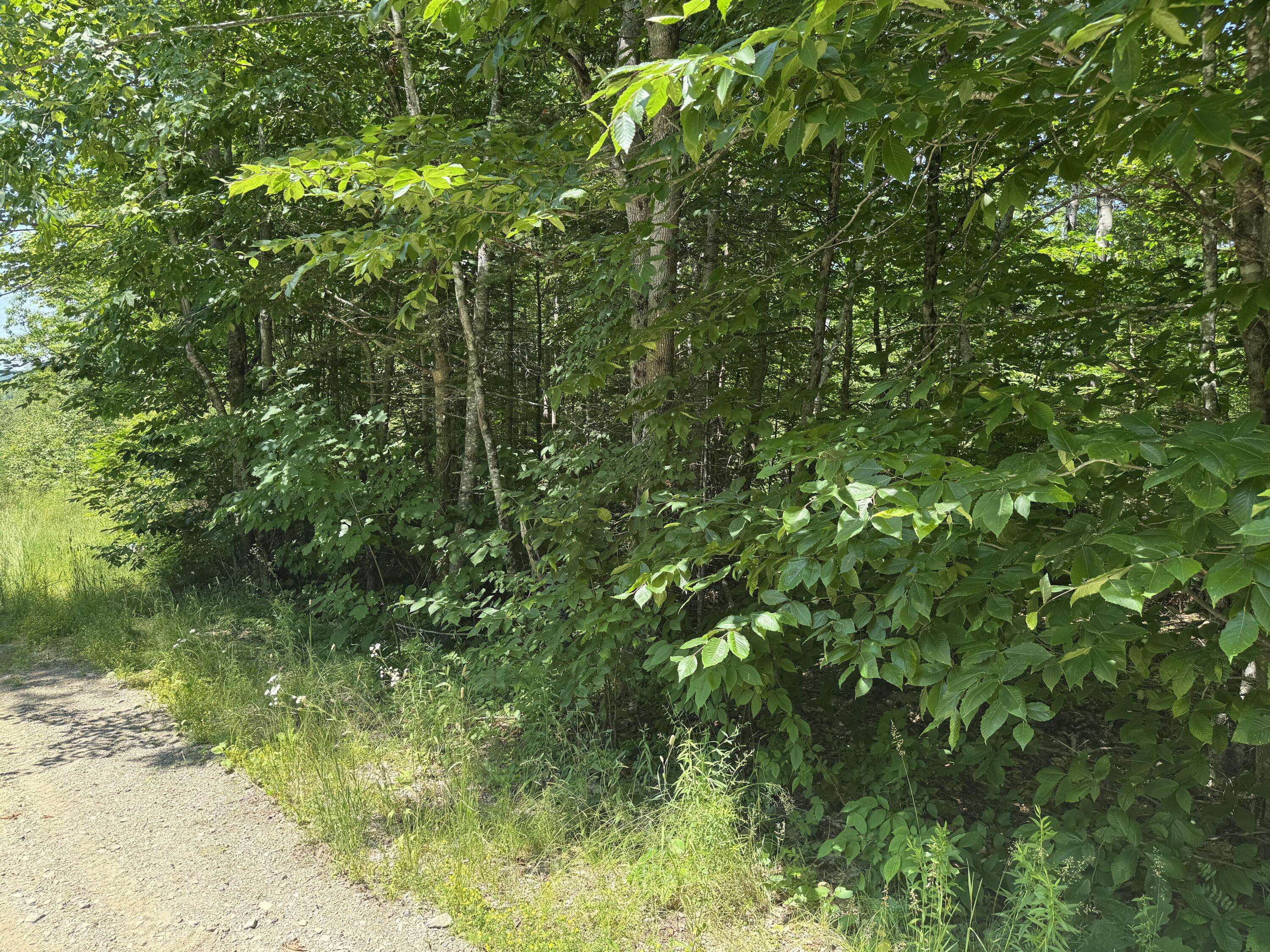 #002-006 Hilltop LN, Princeton, ME 04668