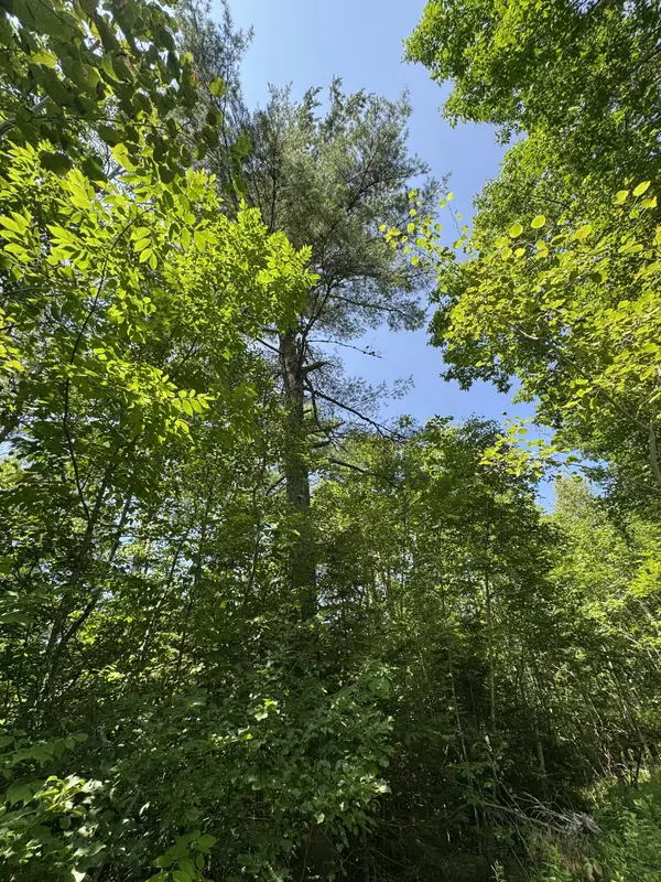 Princeton, ME 04668,#002-006 Hilltop LN