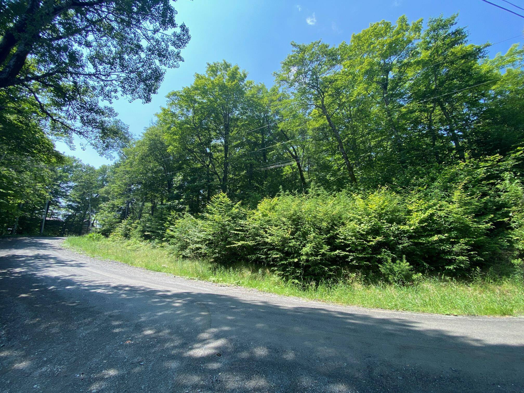 Lot 96, 97 North Shore RD, Harfords Point Twp, ME 04441