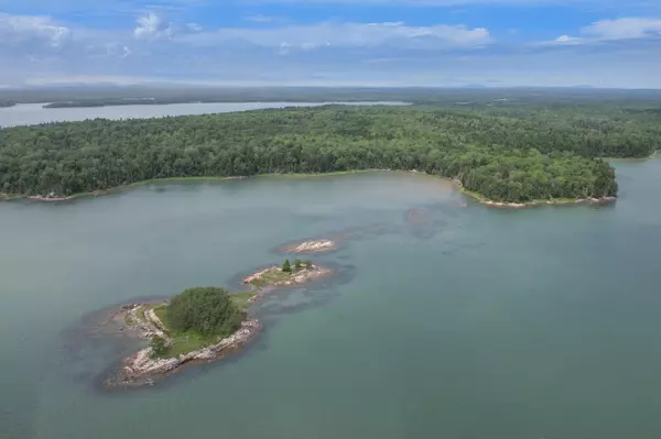 Harrington, ME 04643,M7 L 5,6 Pineo Point RD