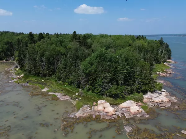 M7 L 5, 6 Pineo Point RD, Harrington, ME 04643