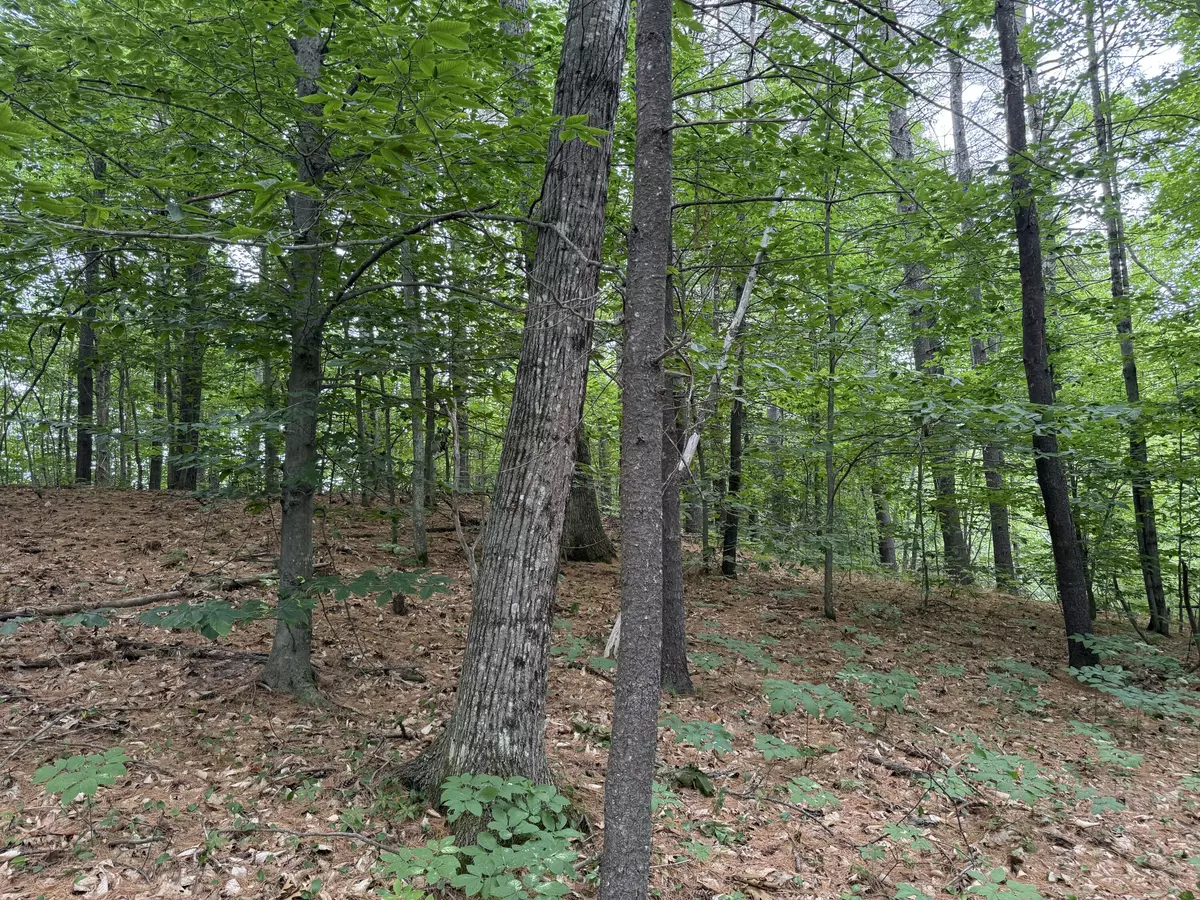 Winthrop, ME 04364,643 Mt Pisgah RD