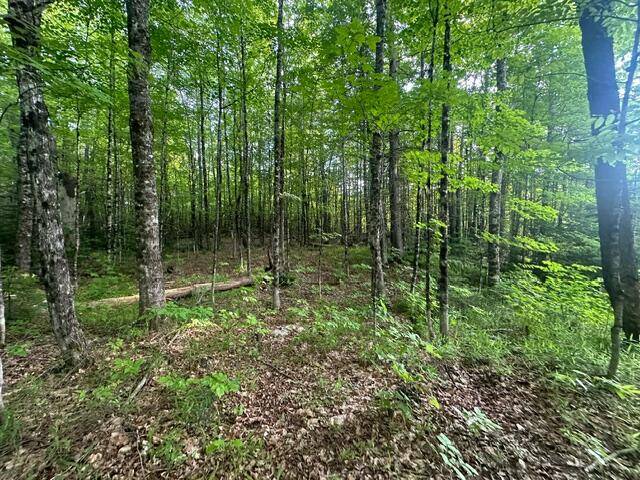 Lot 33 Butterfield Road ST, New Sharon, ME 04955