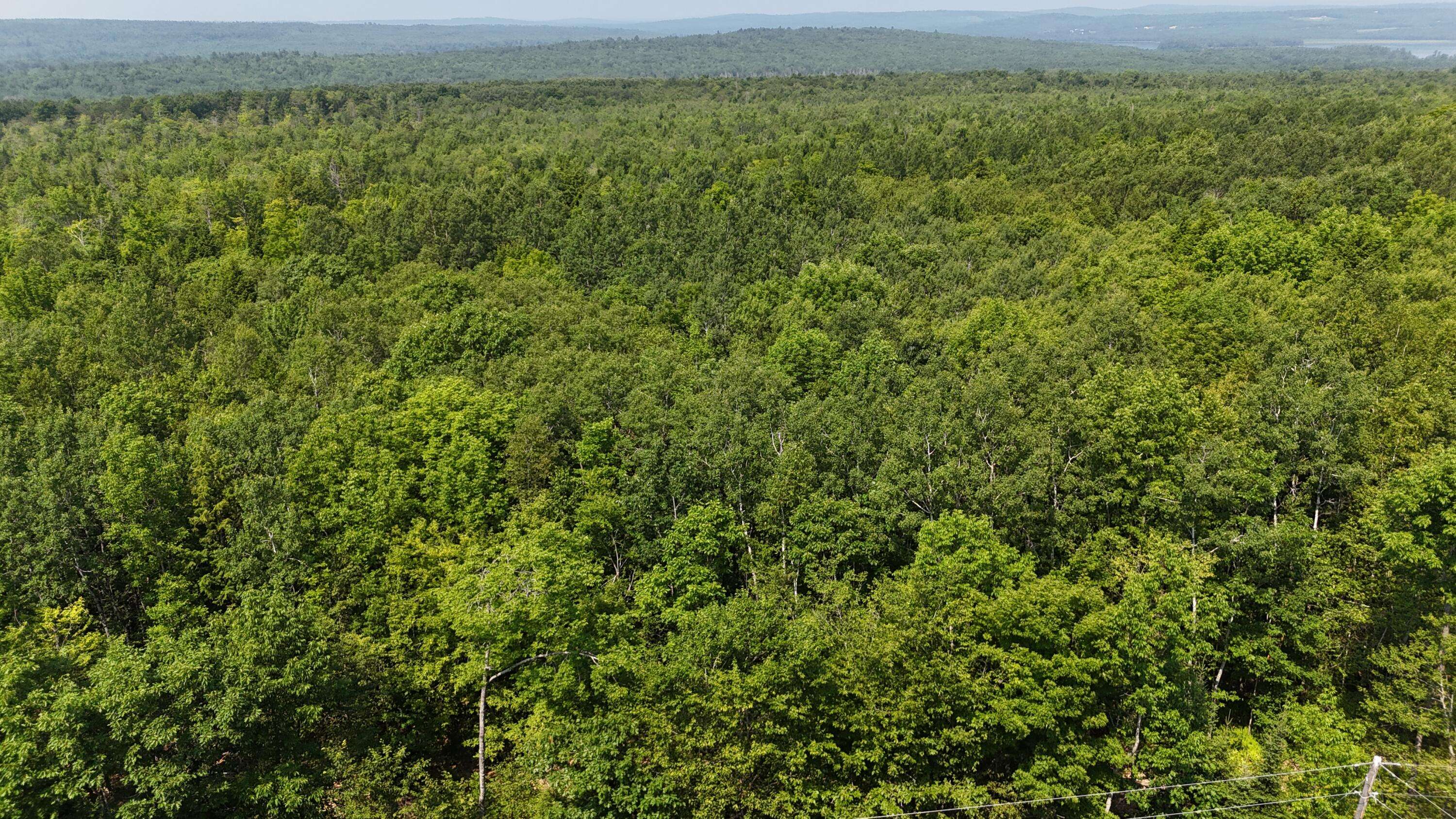 Lot 22-03 Vigue Road, Hartland, ME 04943