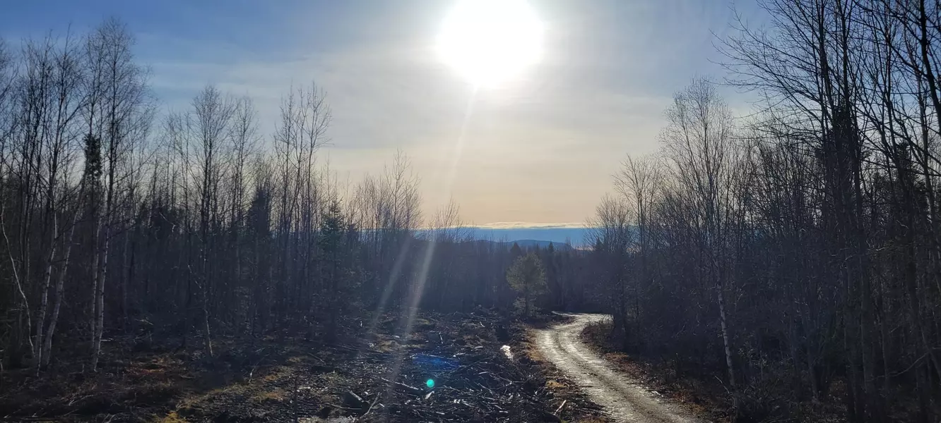 17-4 Sugar Hill RD, Eastbrook, ME 04634