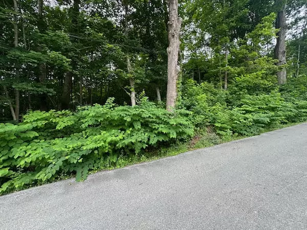 Belfast, ME 04915,4 Green ST