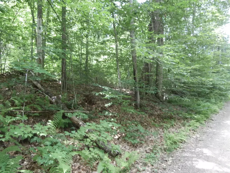 Lot 005 Hebo Hybo RD, Acton, ME 04001