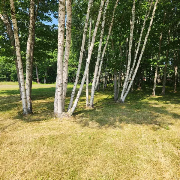 61 Water ST, Howland, ME 04448
