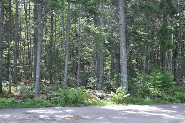 Bristol, ME 04539,0 McFarland Shore RD