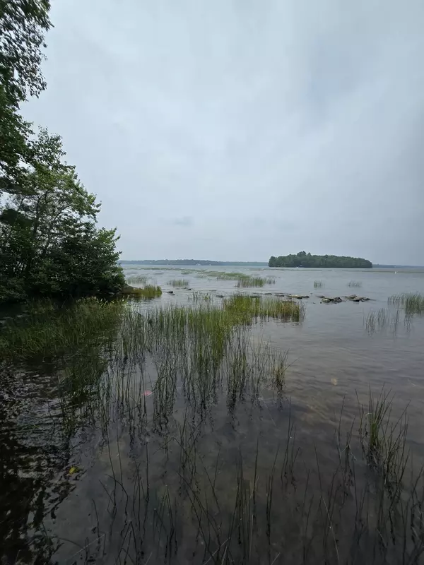 Old Town, ME 04468,00 Mouse Island