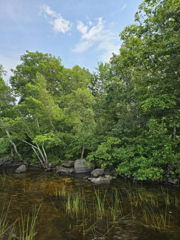 Old Town, ME 04468,00 Mouse Island