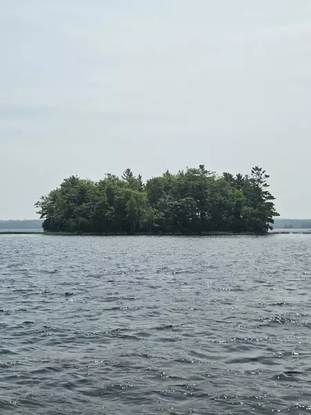 00 Mouse Island, Old Town, ME 04468