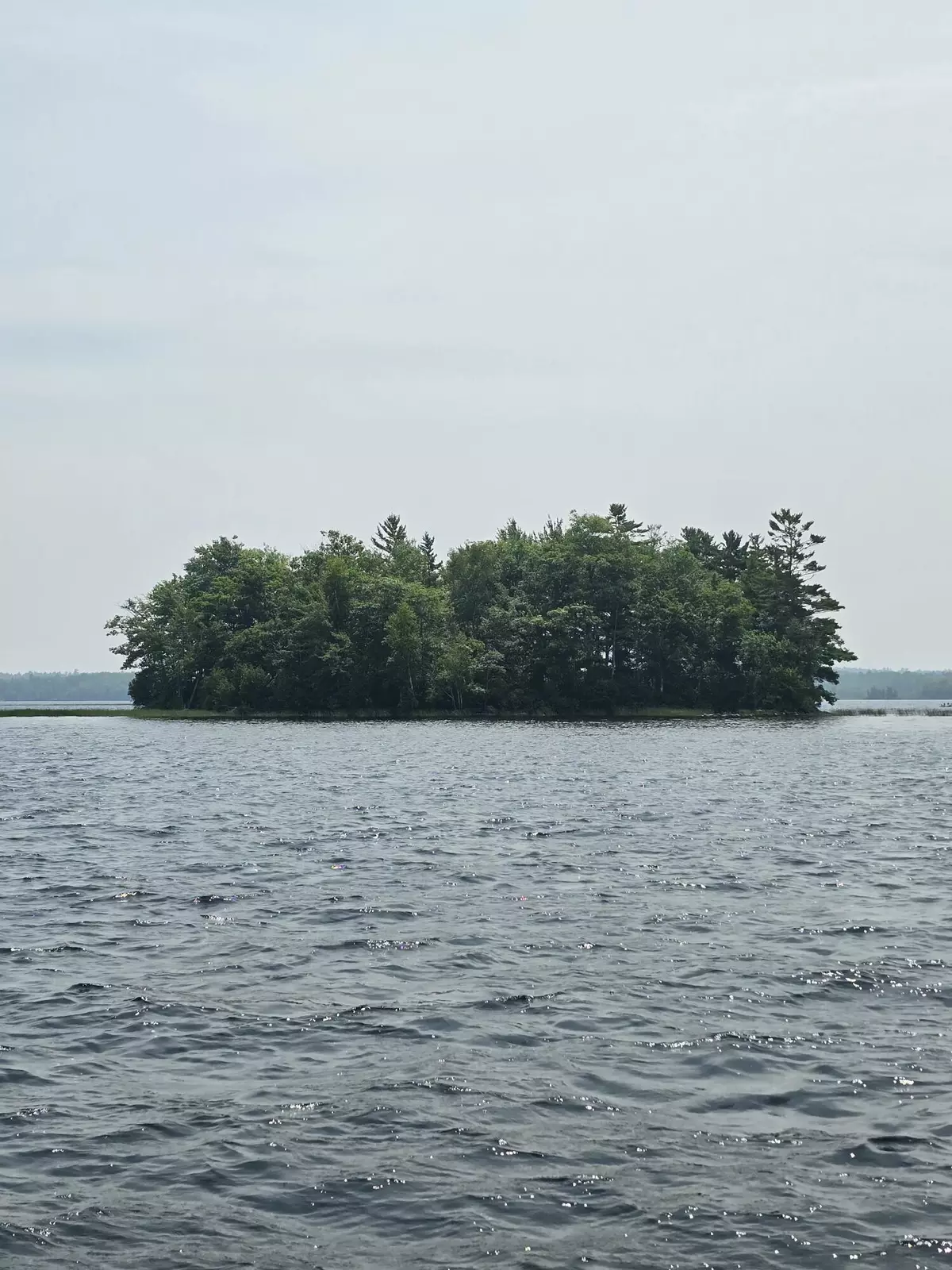 Old Town, ME 04468,00 Mouse Island