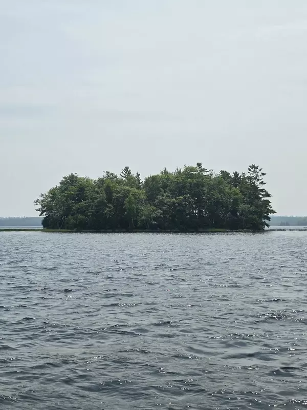 00 Mouse Island, Old Town, ME 04468