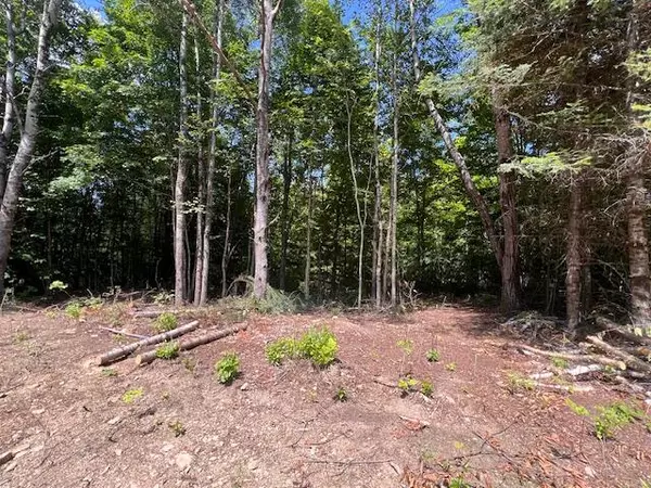 Amity, ME 04471,Lot 29.3 Cone RD