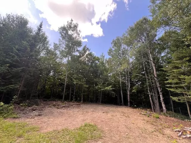 Lot 29.3 Cone RD, Amity, ME 04471