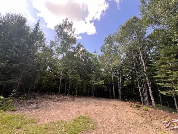 Lot 29.3 Cone RD, Amity, ME 04471