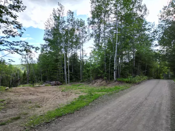 Lakeville, ME 04487,Lot 36-02 Dill Valley RD