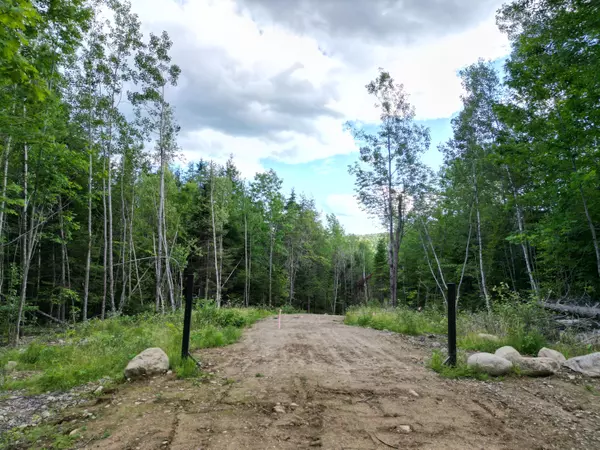 Lakeville, ME 04487,Lot 36-02 Dill Valley RD