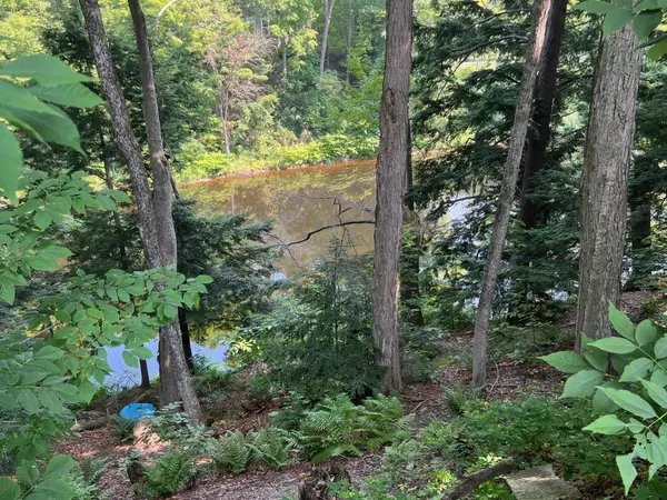 Dover-foxcroft, ME 04426,38 River ST