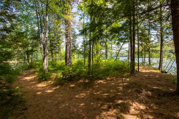 Denmark, ME 04022,16 Walsh DR