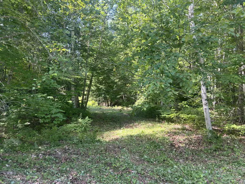 90 Bobcat Drive, Waltham, ME 04605