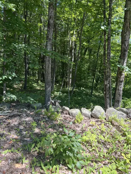 003 Fosterville RD, Bridgton, ME 04009