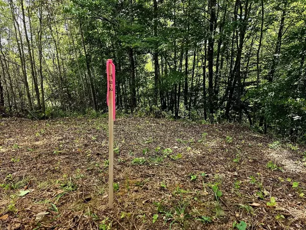 Wilton, ME 04294,Map34 Lot4 Orchard DR