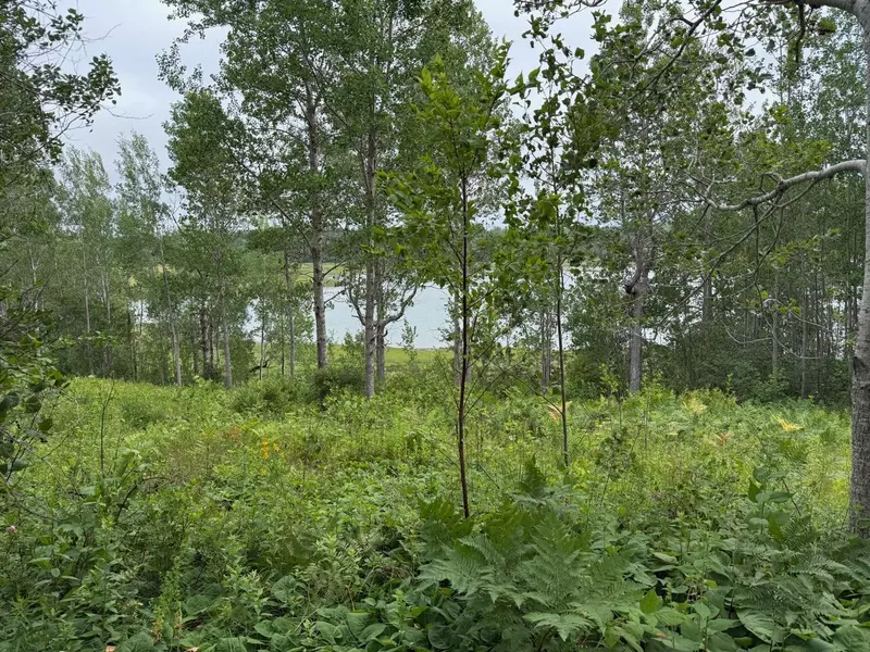M10l200-1 Off Lyons RD, Lubec, ME 04652