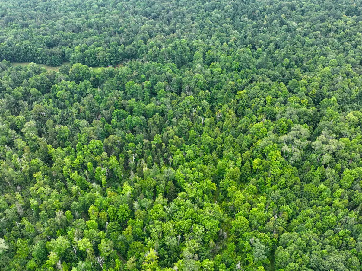 Concord Twp, ME 04290,Lot 31.1 & 31.2 Bluff RD