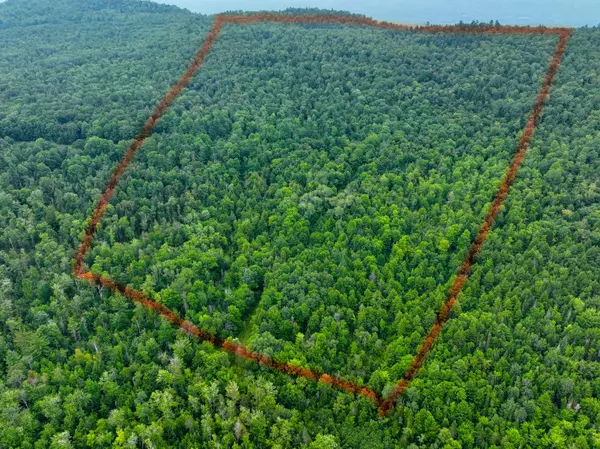 Concord Twp, ME 04290,Lot 31.1 & 31.2 Bluff RD