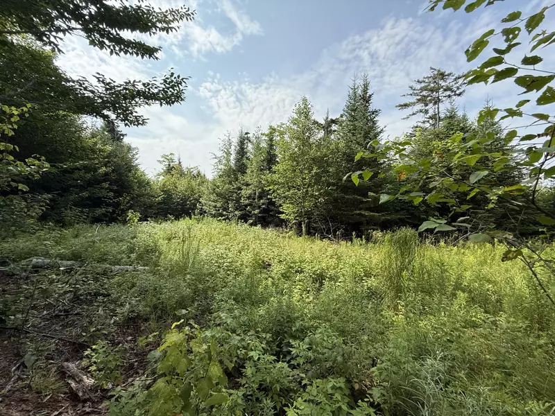 49 Black Bear LN, Greenville, ME 04441