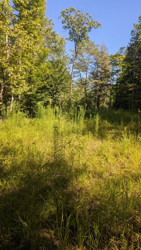 Anson, ME 04911,M15 L17 Quincy Woods RD