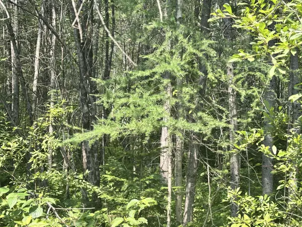 Woodland, ME 04736,Map3Lot7E Fowler RD