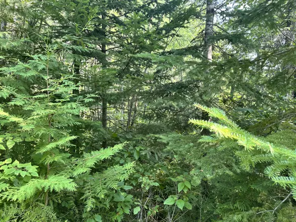 Woodland, ME 04736,Map3Lot7E Fowler RD