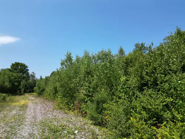 Lakeville, ME 04487,Lot 17-01 Pug Lake RD
