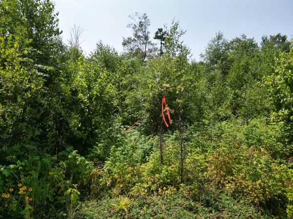 Lakeville, ME 04487,Lot 17-01 Pug Lake RD