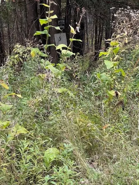 Saint Albans, ME 04971,129 Winding Hill Road