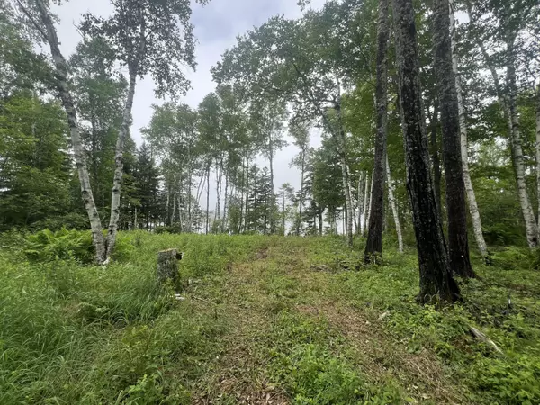 Machiasport, ME 04655,1 Puffins Lane