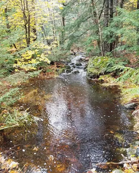 M 15 L 43 Brookview DR, Bucksport, ME 04416