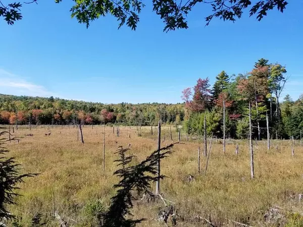 Bucksport, ME 04416,M 15 L 43 Brookview DR